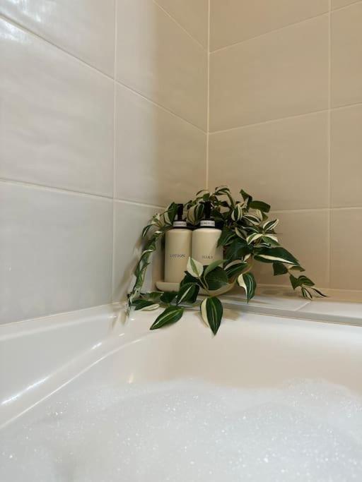 Jungle - Moderne & Spacieux Apartment